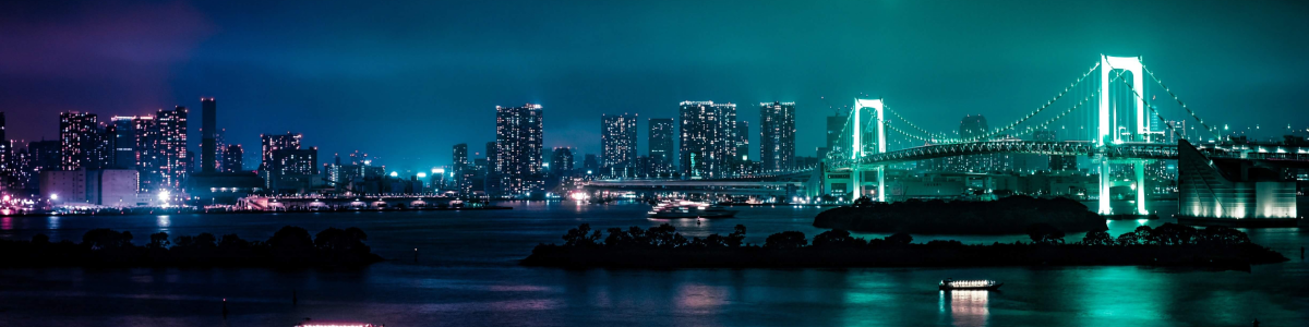 Imagen de la ciudad de Tpkyo de noche